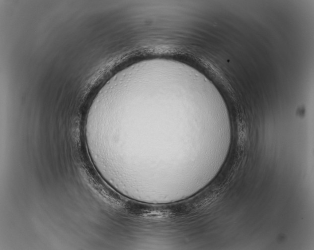 X0000116110447200912141025