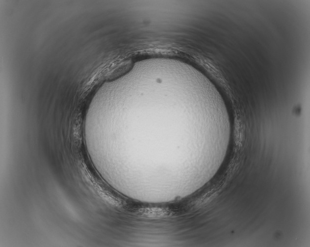 X0000116110449200912141025