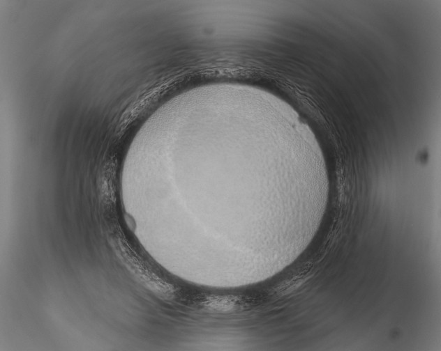 X0000116110450200912141025