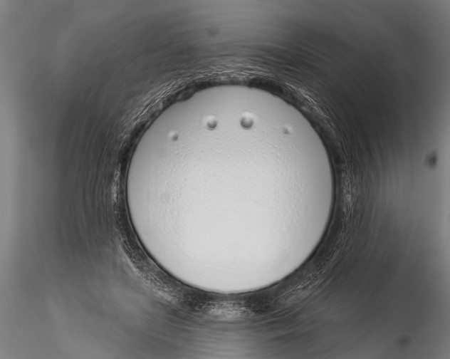 X0000116110451200912141025