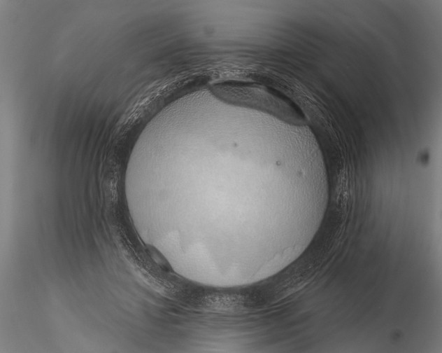 X0000116110452200912141025