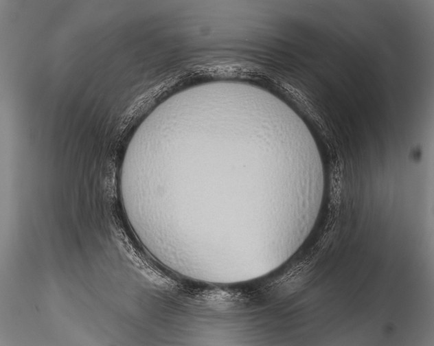 X0000116110453200912141025