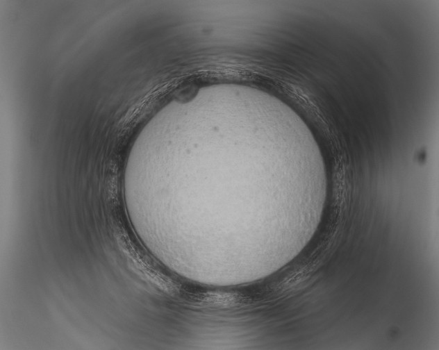 X0000116110457200912141025