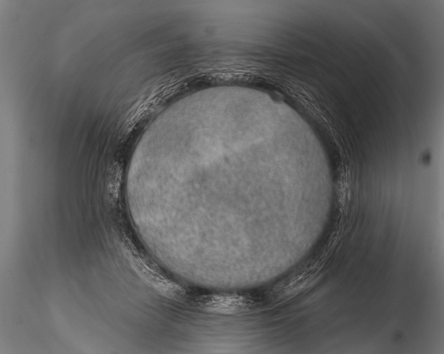 X0000116110458200912141025