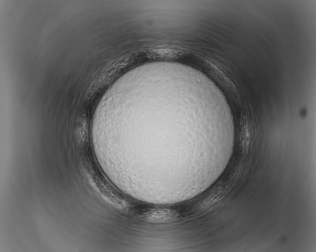 X0000116110459200912141025