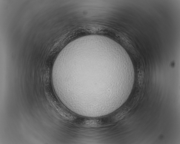 X0000116110461200912141025