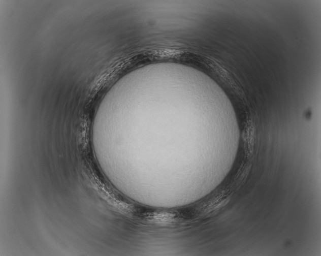 X0000116110462200912141025