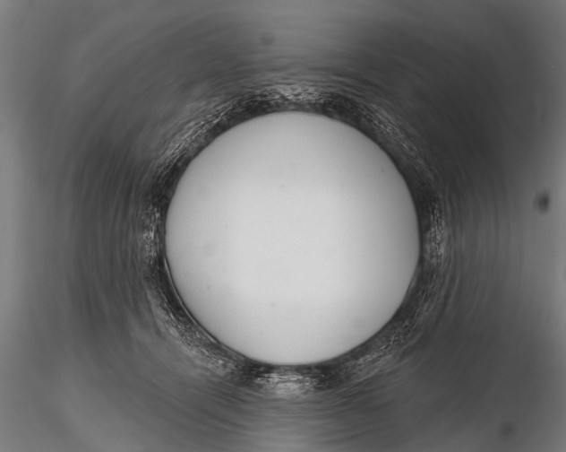 X0000116110464200912141025