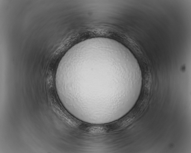 X0000116110465200912141025