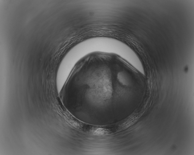 X0000116110467200912141025