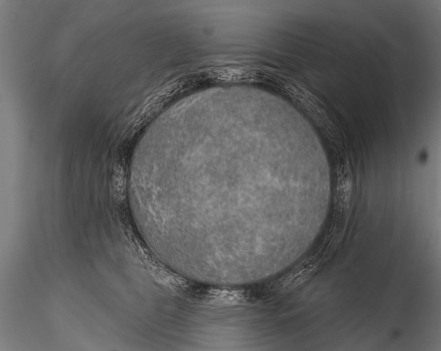 X0000116110469200912141025