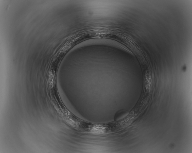 X0000116110471200912141025