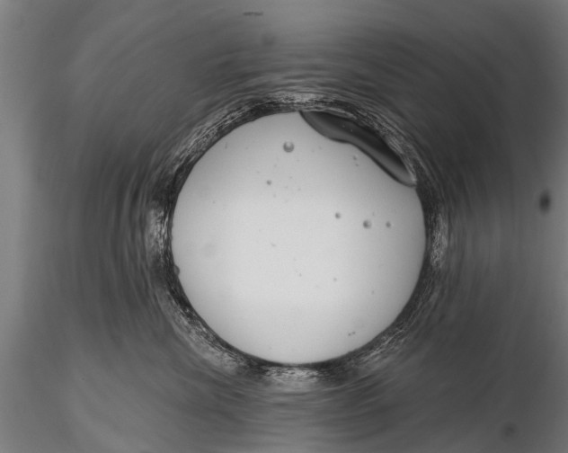 X0000116110476200912141025