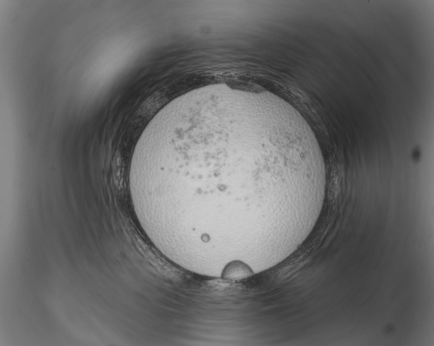 X0000116110477200912141025