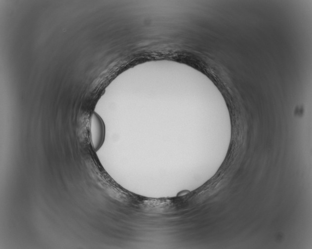 X0000116110480200912141025