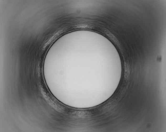 X0000116110482200912141024