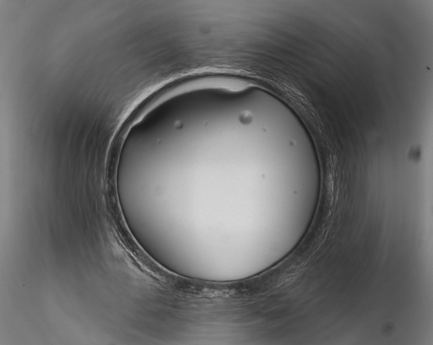 X0000116110484200912141024