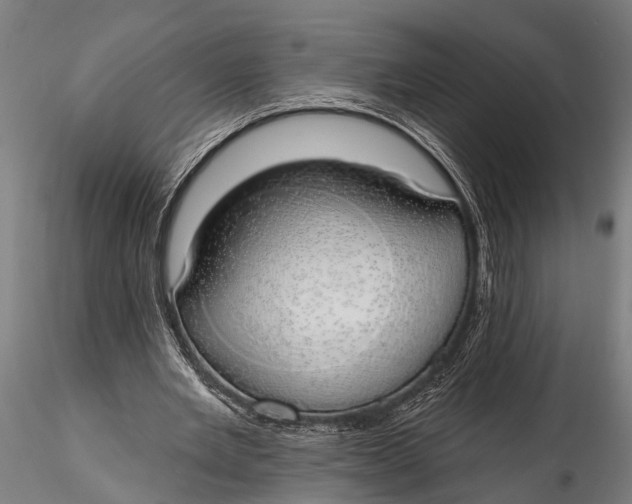 X0000116110485200912141024