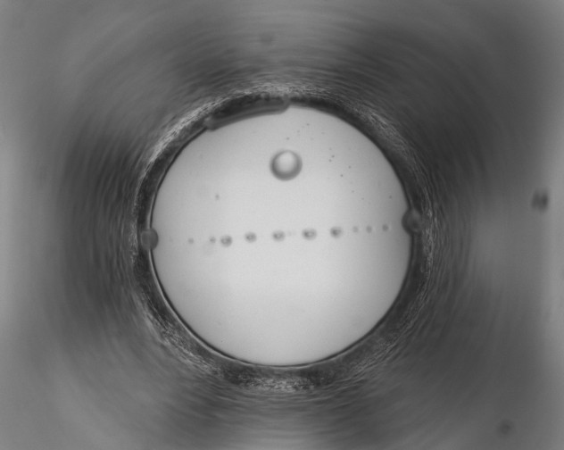 X0000116110488200912141024