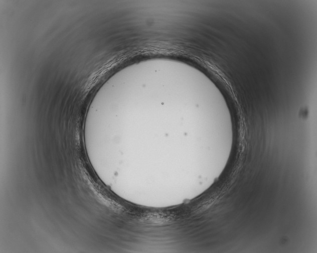 X0000116110489200912141024