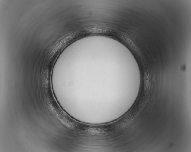 X0000116110490200912141024