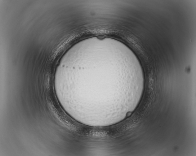 X0000116110491200912141024