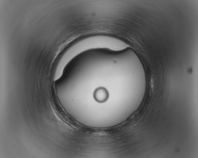 X0000116110492200912141024