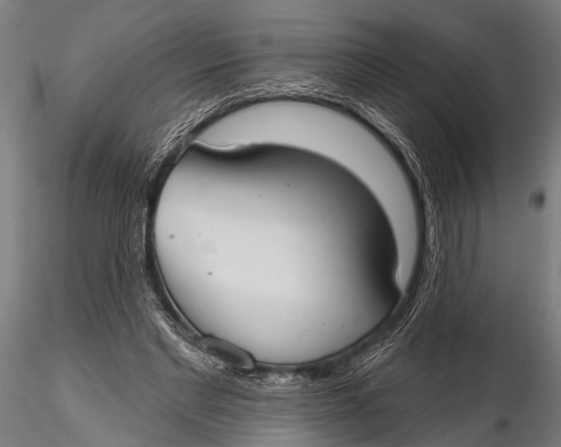 X0000116110493200912141024