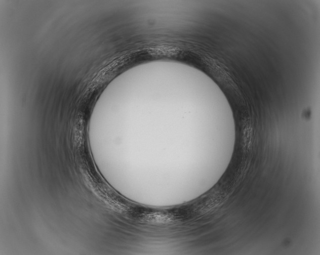 X0000116110498200912141024