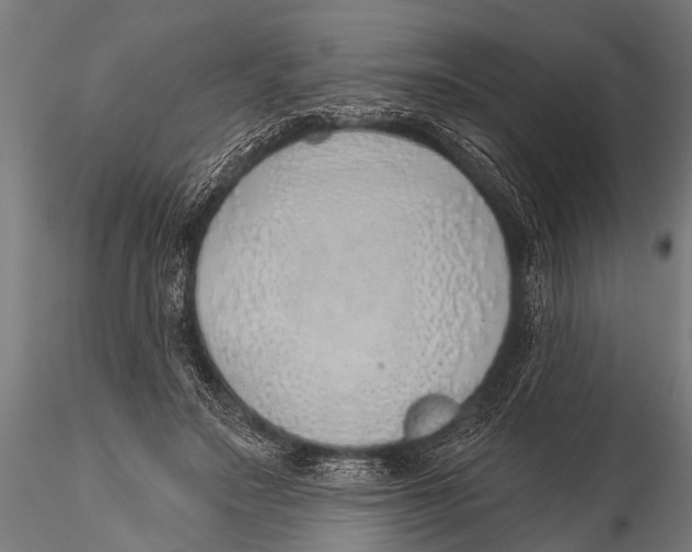 X0000116110499200912141024