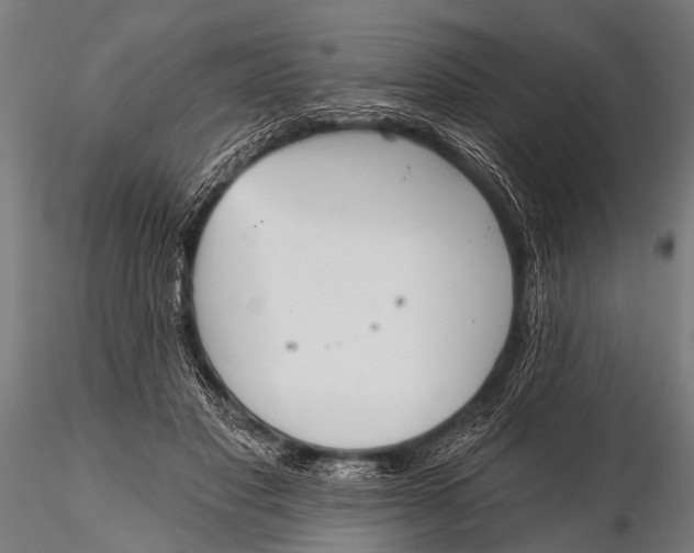 X0000116110501200912141024