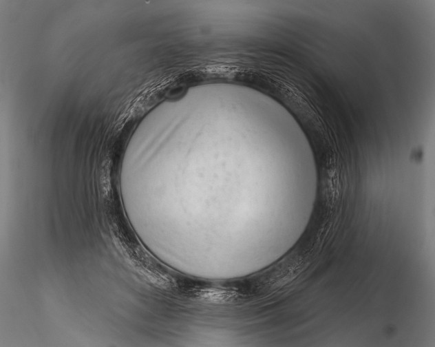 X0000116110504200912141024