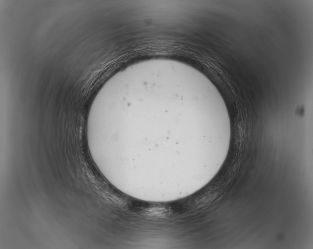 X0000116110505200912141024