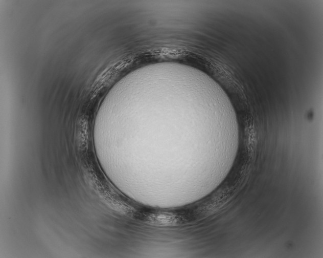 X0000116110506200912141024