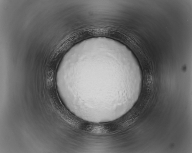 X0000116110507200912141024