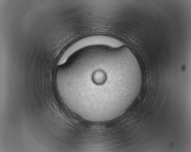 X0000116110508200912141024