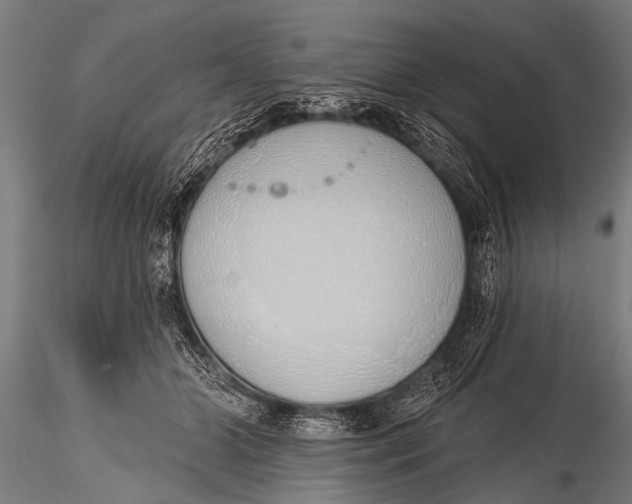 X0000116110510200912141024