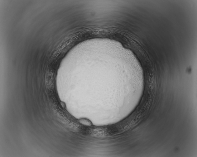 X0000116110511200912141024