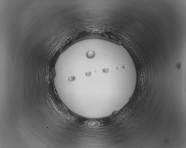 X0000116110512200912141024