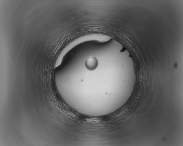 X0000116110516200912141024