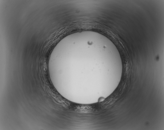 X0000116110517200912141024