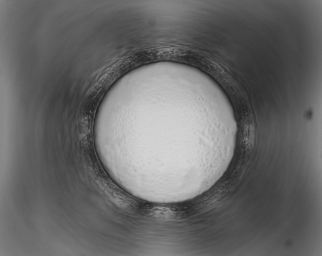 X0000116110519200912141024