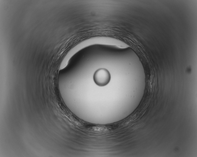 X0000116110520200912141024