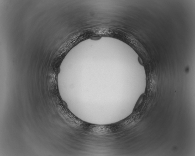 X0000116110521200912141024