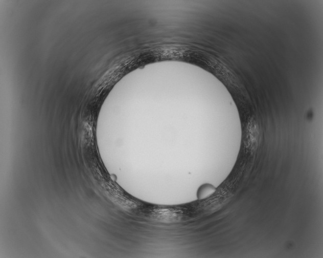 X0000116110522200912141024