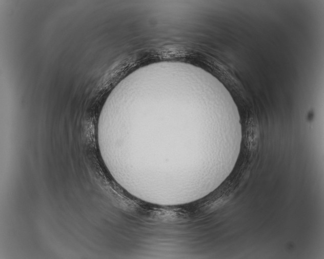 X0000116110523200912141024