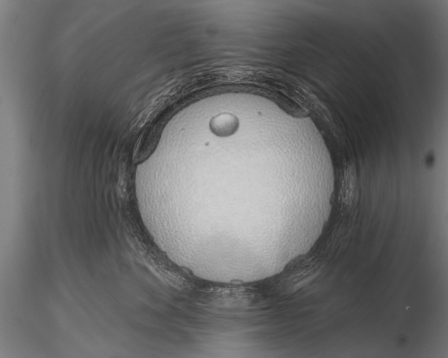 X0000116110524200912141024