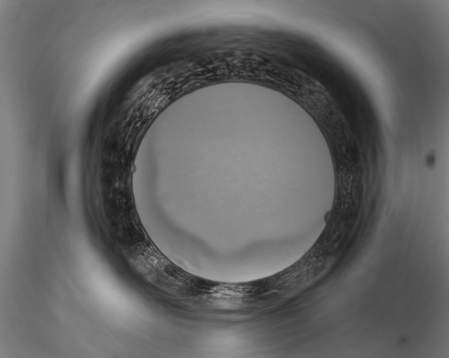 X0000116110526200912141024