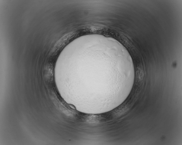 X0000116110527200912141024