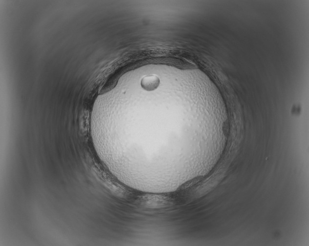 X0000116110528200912141024